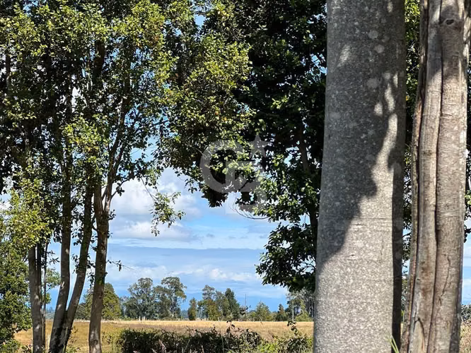 Parcela cerca de Llanquihue con vista volcanes