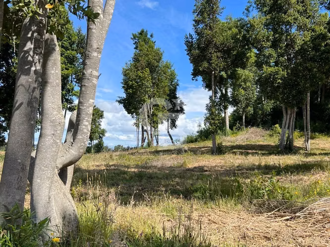 Parcela cerca de Llanquihue con vista volcanes