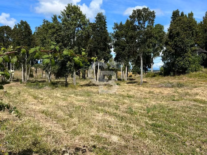 Parcela cerca de Llanquihue con vista volcanes