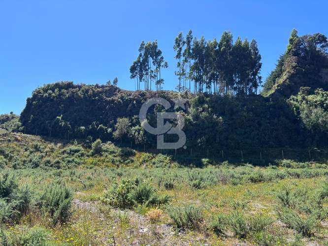 Parcela orilla de camino km 32 Ensenada, Ideal Turismo - Imagen 11