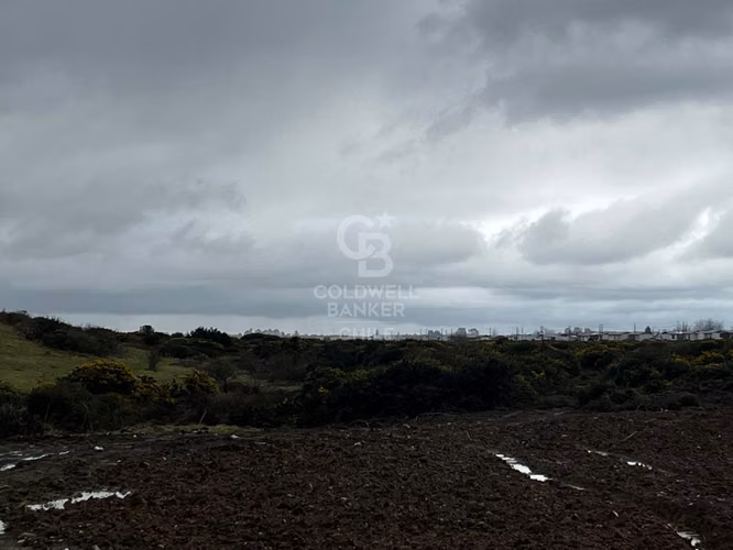 Terreno en inmejorable ubicación / Orilla de camino