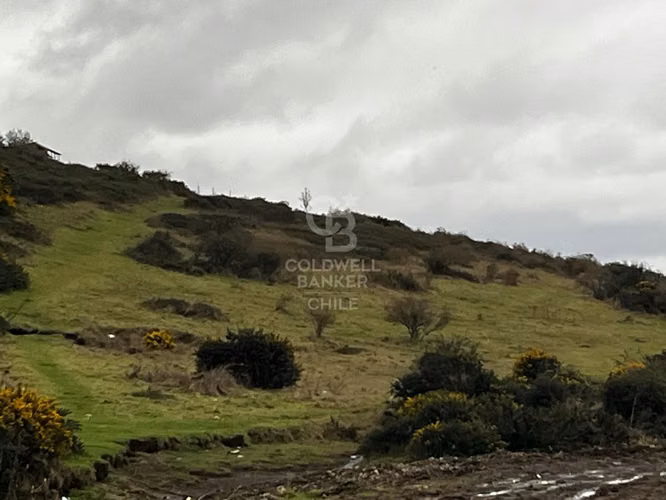 Terreno en inmejorable ubicación / Orilla de camino