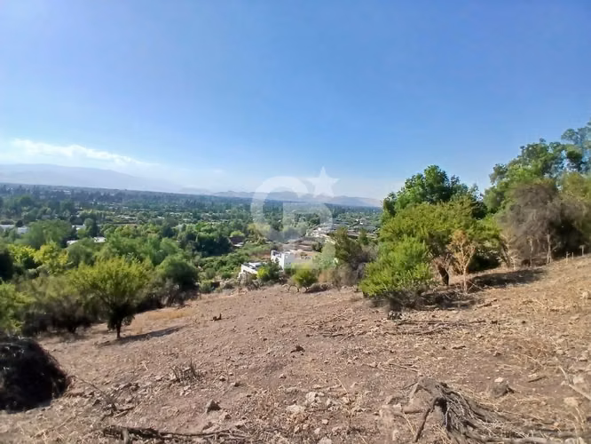 Vista panorámica  - Cerro La Pava - Chicureo