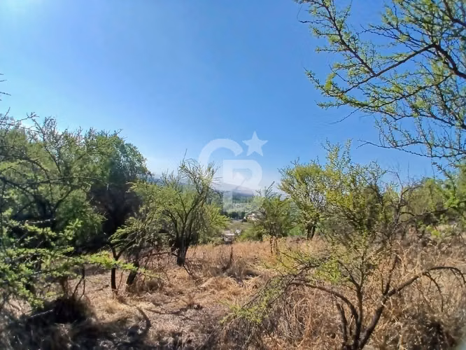 Vista panorámica  - Cerro La Pava - Chicureo - Imagen 4
