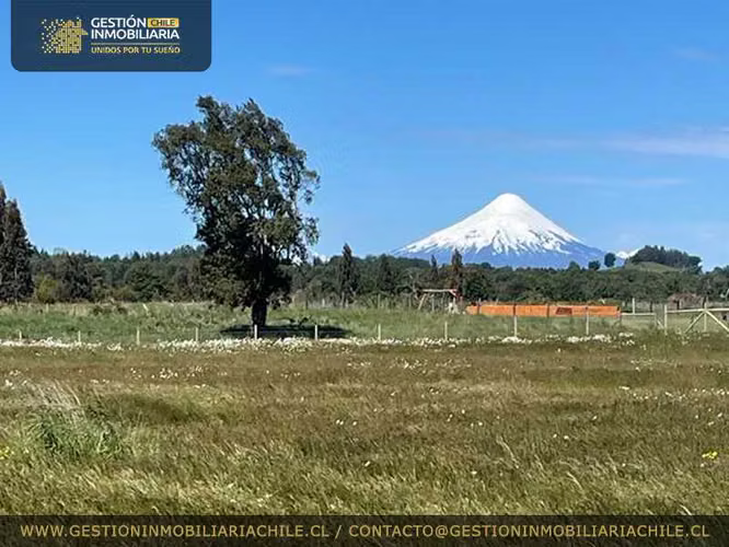 Oportunidad de Inversión en Entorno Natural (146914)