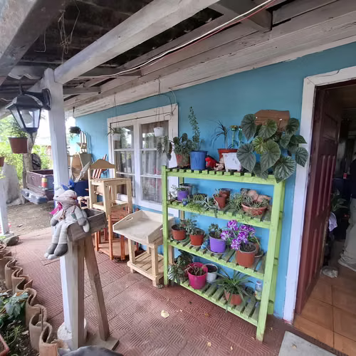 CASA EN VENTA - PINTO