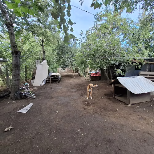 CASA EN VENTA - PINTO