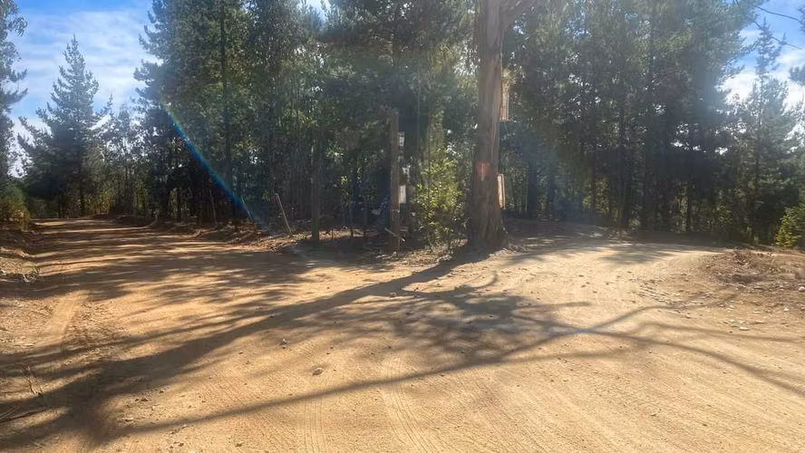 REBAJADA...PARCELA 5000MTS PICHILEMU