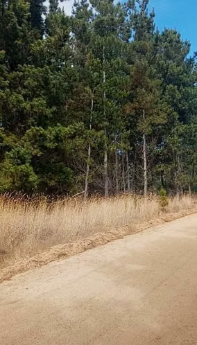 REBAJADA...PARCELA 5000MTS PICHILEMU