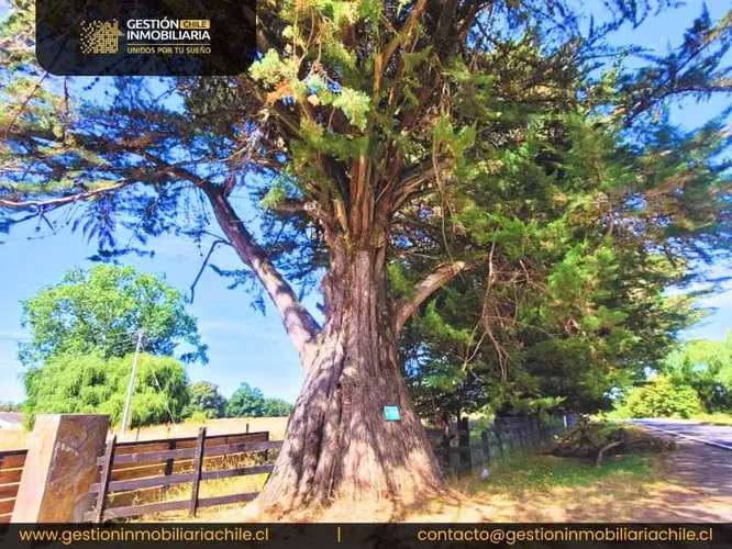 Preciosa Parcelas Urbanizadas frutillar (147172) - Imagen 14