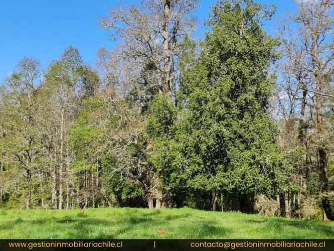 Preciosa Parcelas Urbanizadas frutillar (147172) - Imagen 13
