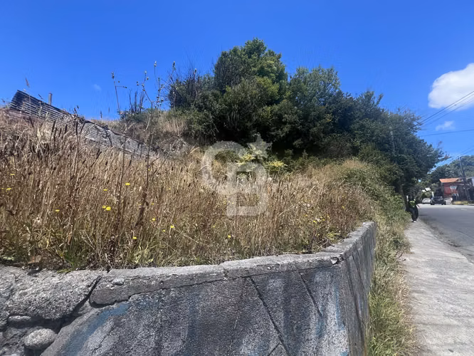 Sitio estratégico para comercio en Trigal/Crucero.Pto.Montt