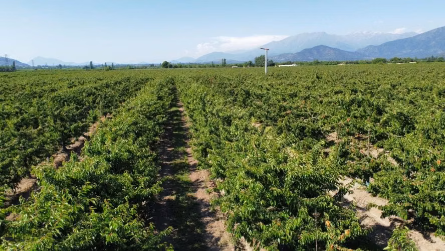 Parcelas Altos de Tunca - Rancagua