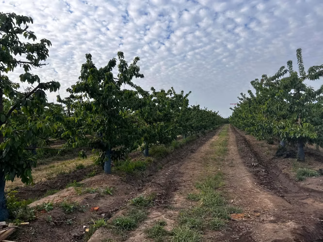 Parcelas Altos de Tunca - Rancagua