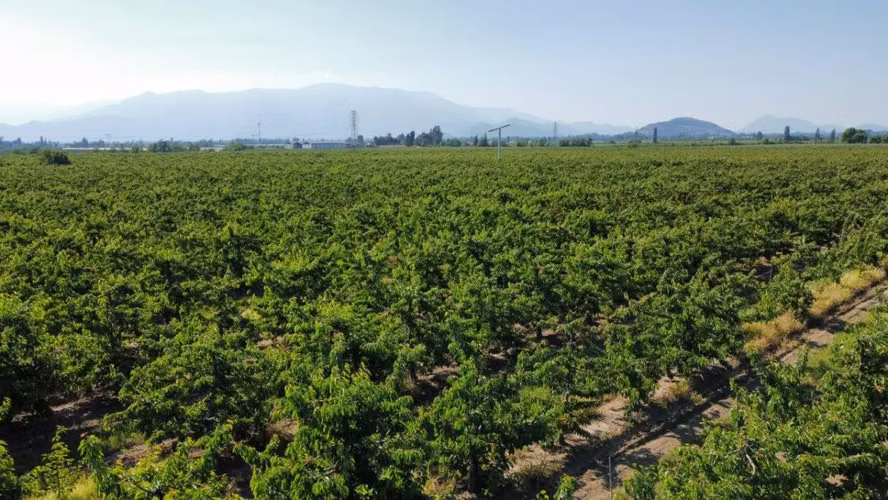 Parcelas Altos de Tunca - Rancagua
