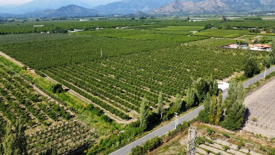 Parcelas Altos de Tunca - Rancagua
