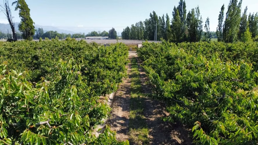 Parcelas Altos de Tunca - Rancagua