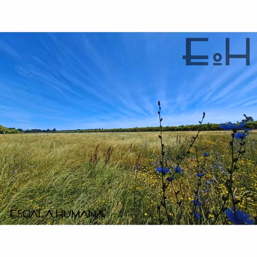 Venta casa nueva 3D/2B  El Pino - Quiebrafrenos - Laja