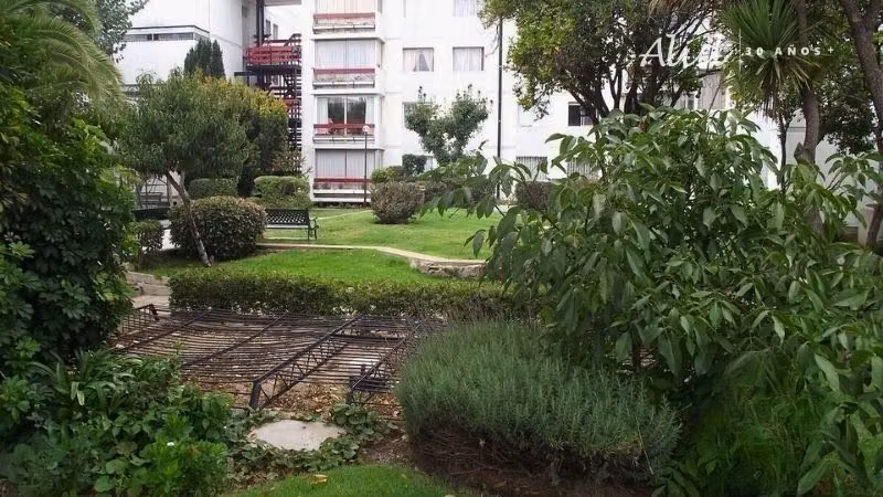 Departamento PLAN DE VIÑA DEL MAR, A PASOS DE MUSEOS, COMERCIO, PARQUES - Imagen 16