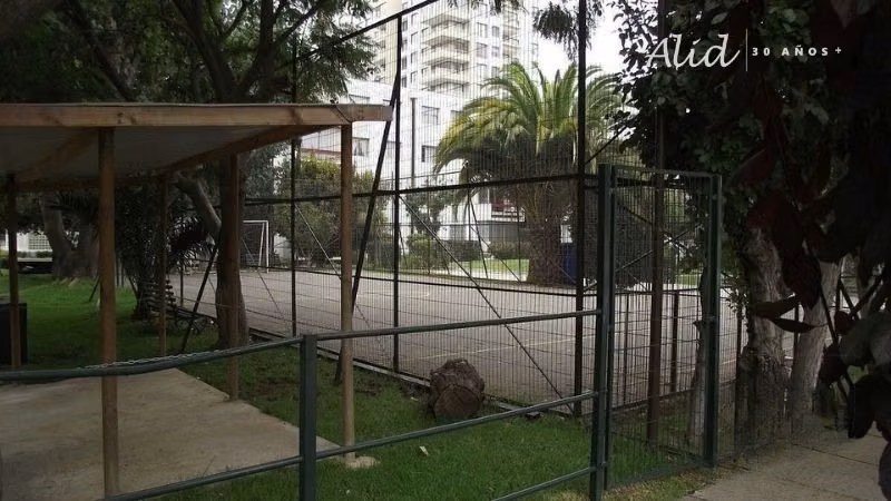 Departamento PLAN DE VIÑA DEL MAR, A PASOS DE MUSEOS, COMERCIO, PARQUES - Imagen 19