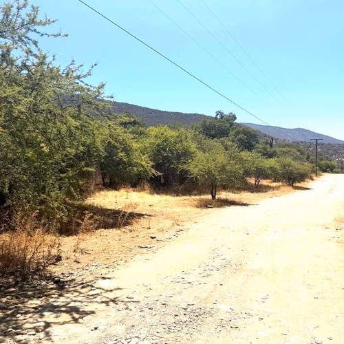 Agrícola ENSENADA AGUILA SUR PAINE
