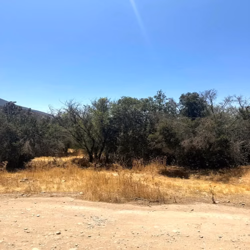 Agrícola ENSENADA AGUILA SUR PAINE