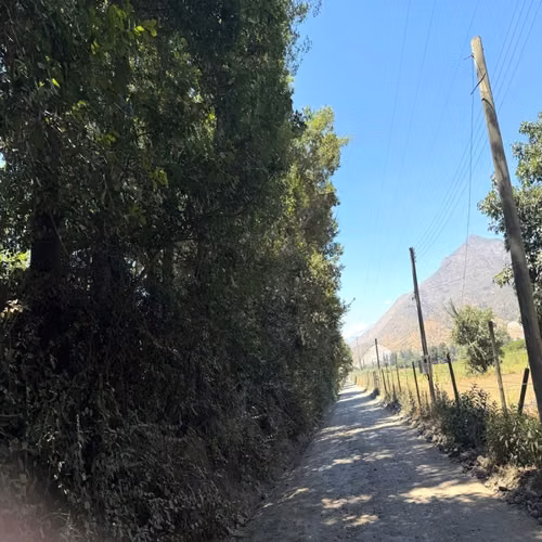 Agrícola ENSENADA AGUILA SUR PAINE