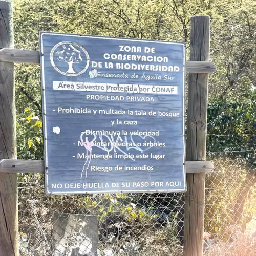 Agrícola ENSENADA AGUILA SUR PAINE