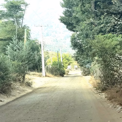 Agrícola ENSENADA AGUILA SUR PAINE