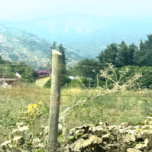 Agrícola ENSENADA AGUILA SUR PAINE