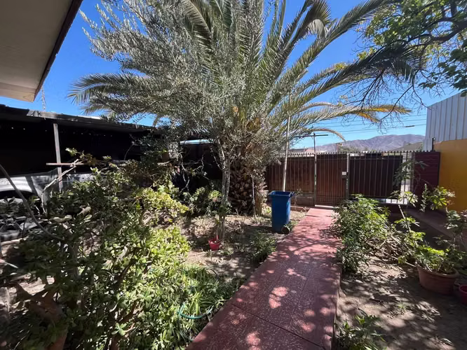 Amplia Casa con Gran Taller y 450m2 Terreno (147647)