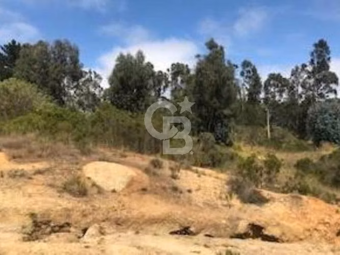 Terreno Plano, Uso Comercial, Habitacional y Servicios.