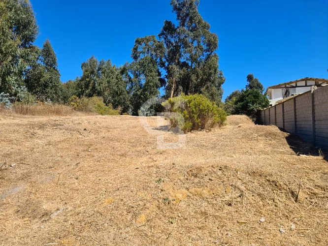 Terreno Plano, Uso Comercial, Habitacional y Servicios.