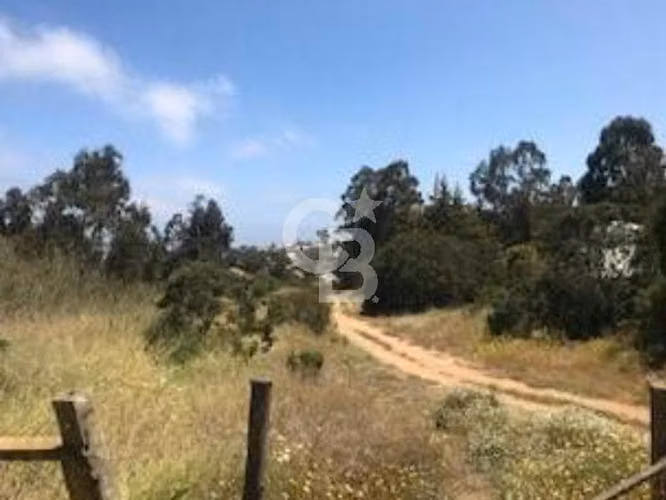 Terreno Plano, Uso Comercial, Habitacional y Servicios.