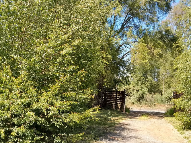 Parcela con cabaña km 12,5 entre Villarrica - Pucón