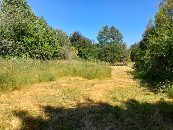 Parcela con cabaña km 12,5 entre Villarrica - Pucón