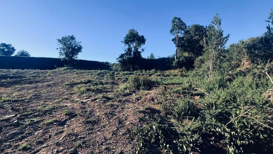Venta de Parcela 5.000 m² – Sector Cutipay Alto, Valdivia - Imagen 2