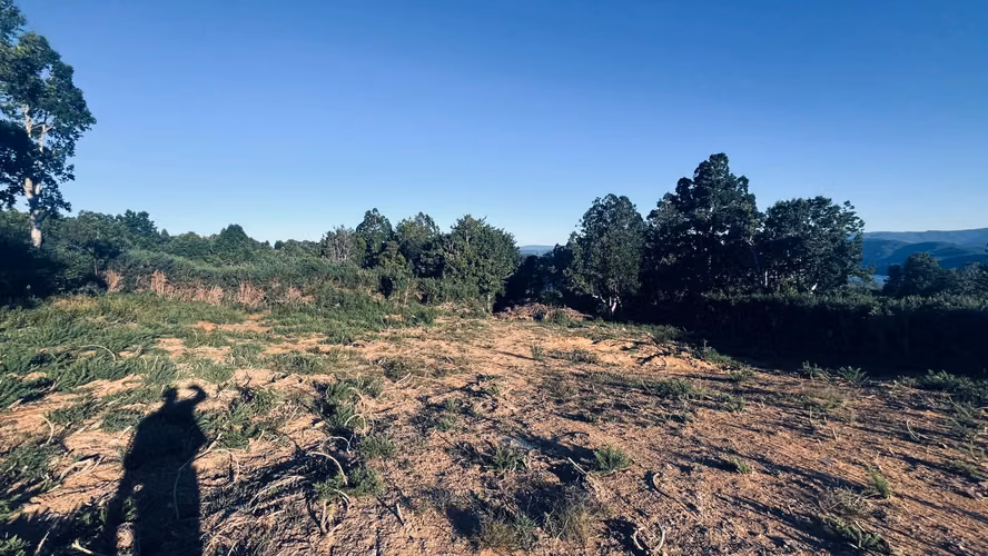Venta de Parcela 5.000 m² – Sector Cutipay Alto, Valdivia - Imagen 3