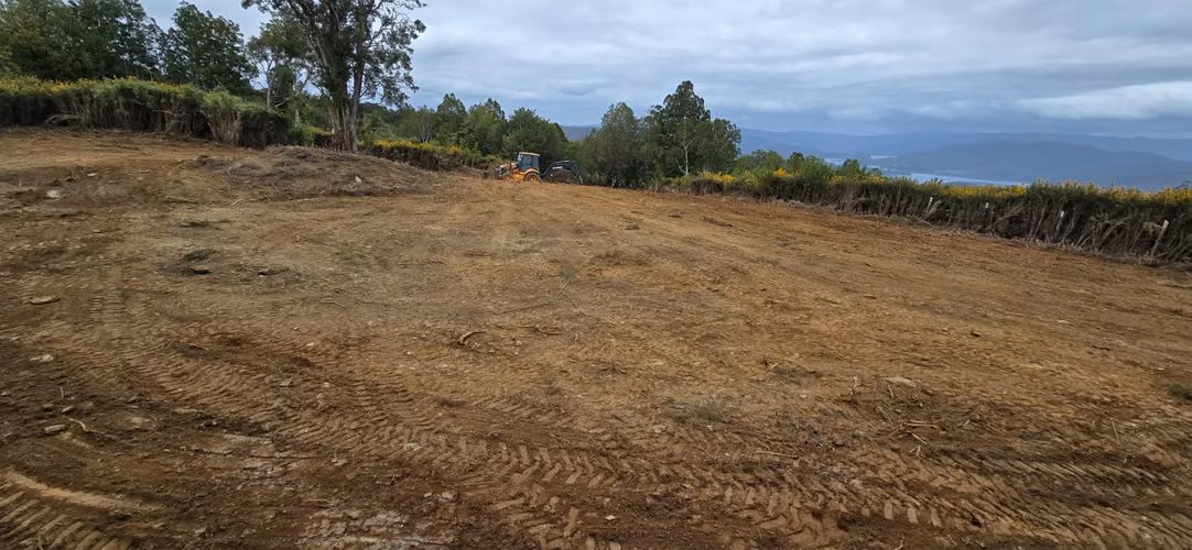 Venta de Parcela 5.000 m² – Sector Cutipay Alto, Valdivia - Imagen 10