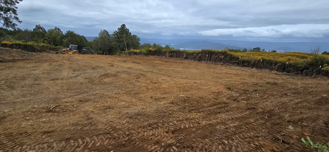 Venta de Parcela 5.000 m² – Sector Cutipay Alto, Valdivia - Imagen 12