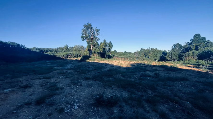 Venta de Parcela 5.000 m² – Sector Cutipay Alto, Valdivia - Imagen 5