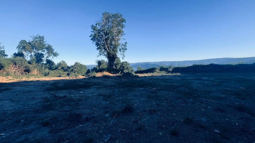 Venta de Parcela 5.000 m² – Sector Cutipay Alto, Valdivia - Imagen 7