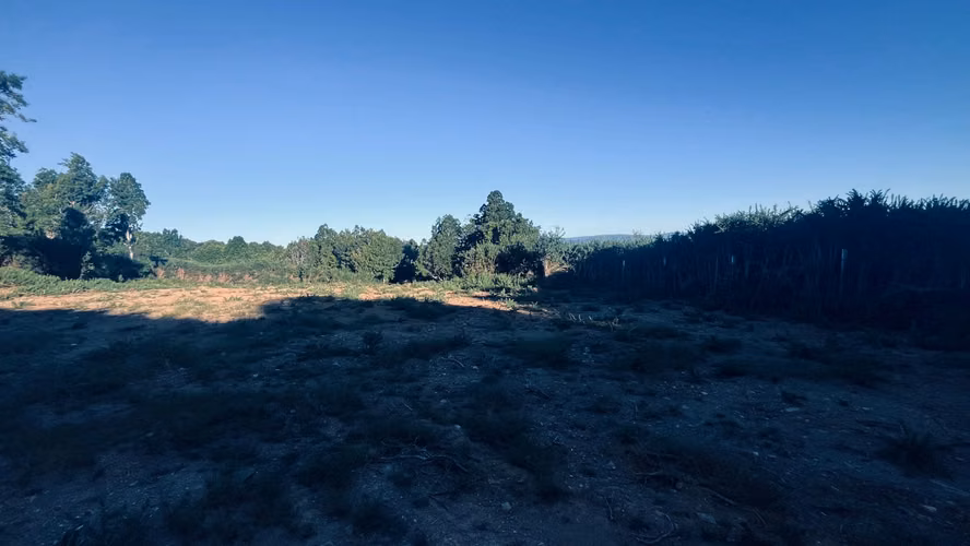 Venta de Parcela 5.000 m² – Sector Cutipay Alto, Valdivia - Imagen 4