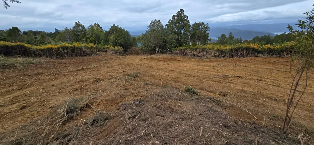 Venta de Parcela 5.000 m² – Sector Cutipay Alto, Valdivia - Imagen 14