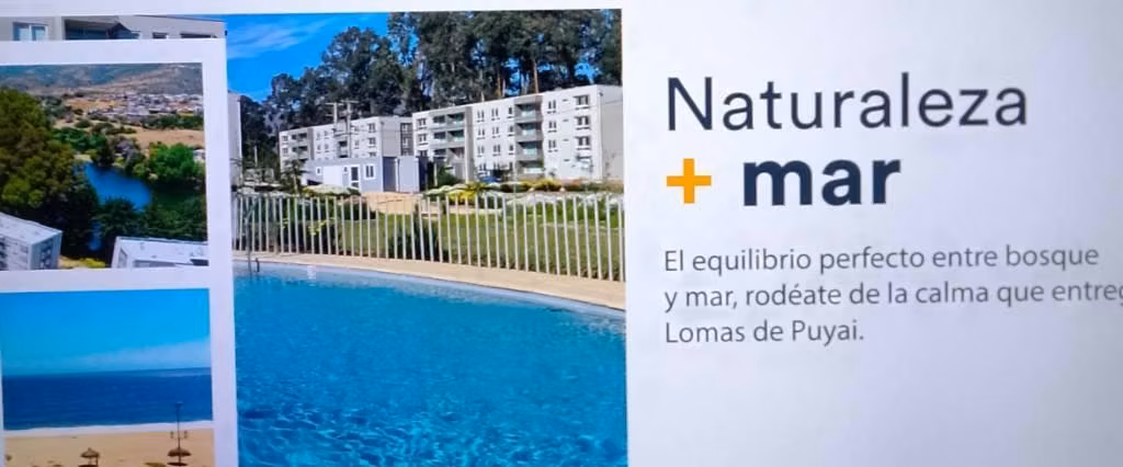 PAPUDO : Donde el Mar Es Parte de tu Hogar
