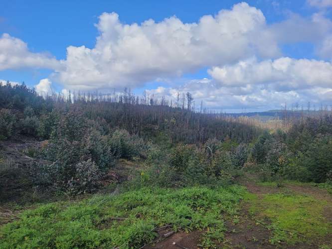 Loteos  a 15 km de Concepción, sector Juan Chico