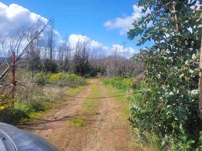 Loteos  a 15 km de Concepción, sector Juan Chico