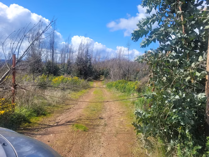 Vendo lotes rol propio a 15 km de Concepción