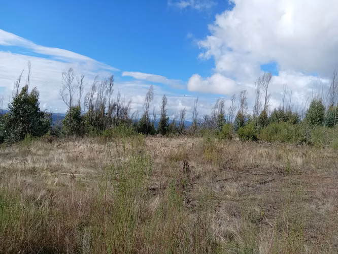 Vendo lotes rol propio a 15 km de Concepción