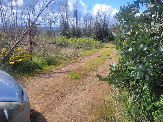 Loteos  a 15 km de Concepción, sector Juan Chico